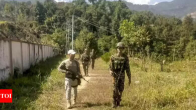 Unrest in Manipur: Center sends over 10,000 additional CAPF troops, violence has claimed 258 lives since May 2023 | India News – Times of India