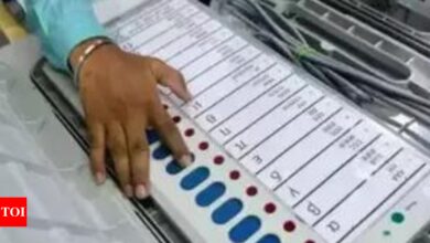 Vasai election result 2024: BJP’s Sneha Dube Pandit leads over BVA’s Hitendra Vishnu Thakur | India News – Times of India