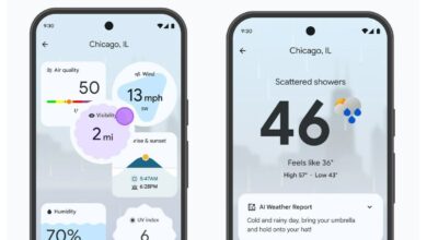 Viewing weather on Pixel phones could soon become more immersive