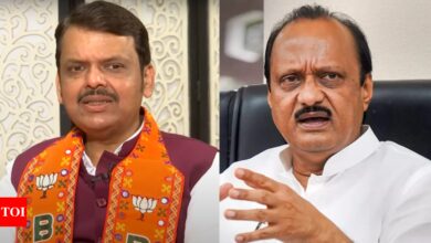 ‘Was with people with anti-Hindu ideologies’: It’s Fadnavis vs Ajit Pawar on ‘batenge toh katenge’ slogan – Times of India