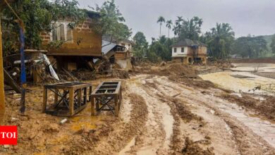 Wayanad survivors set to step up agitation as RBI refuses to ask banks to waive loans – Times of India