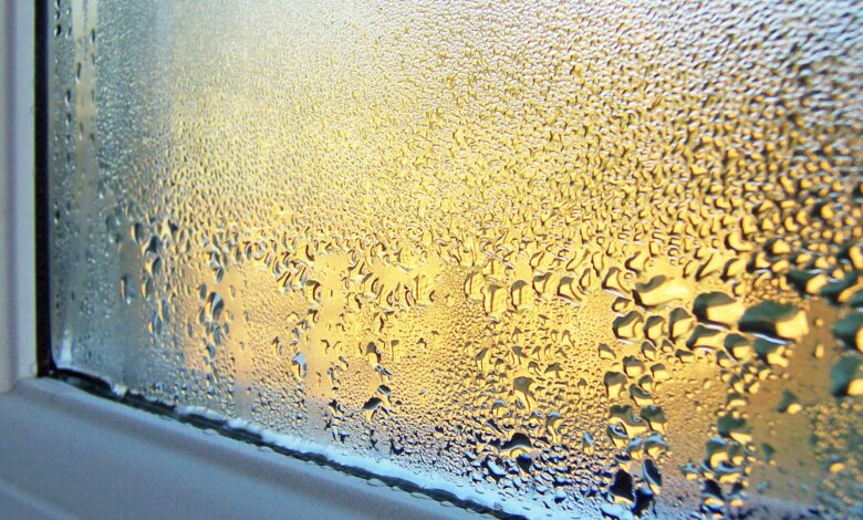 What causes condensation on windows and how do I prevent it?