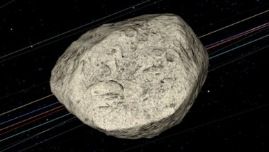 Will Earth’s Gravitational Apophis Asteroid Change in 2029? Discover it!