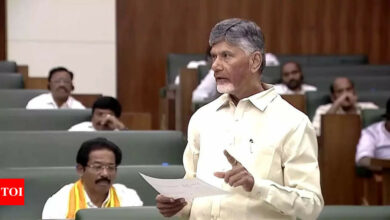 ‘Will act after reviewing US charges’: TDP’s Naidu on alleged bribery scandal involving Adani and YSRCP | India News – Times of India