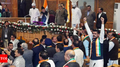 Will lead parallel government if J&K president questions country’s sovereignty: BJP | India News – Times of India