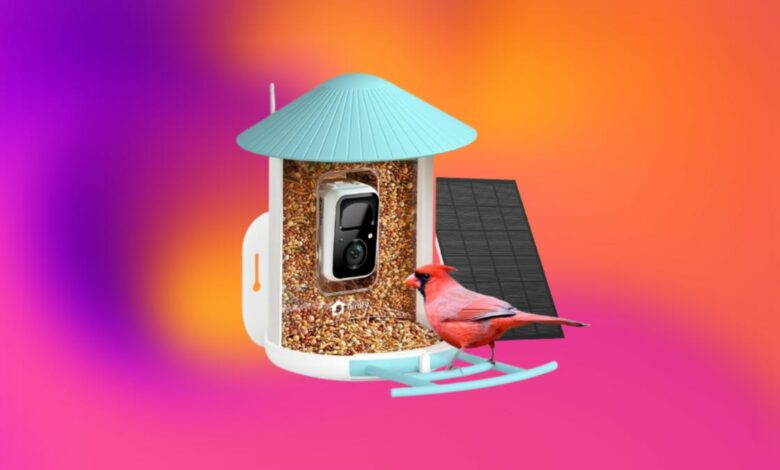 With  off at Amazon, this smart bird feeder is a cheap buy this Black Friday