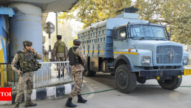 Woman hit by grenade attack at Srinagar market dies – Times of India