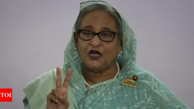 ‘Wrongfully arrested’: Sheikh Hasina asks Yunus government to free Iskcon’s Chinmoy Das ‘immediately’ | India News – Times of India