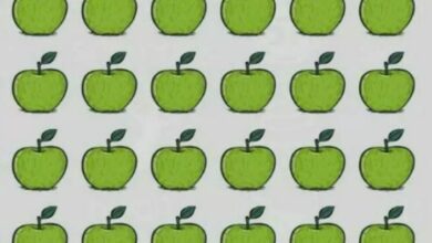 You have a high IQ if you see an apple in this optical illusion within 4 seconds