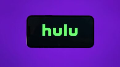 You’ll want to grab this  Hulu Black Friday deal before it dries up