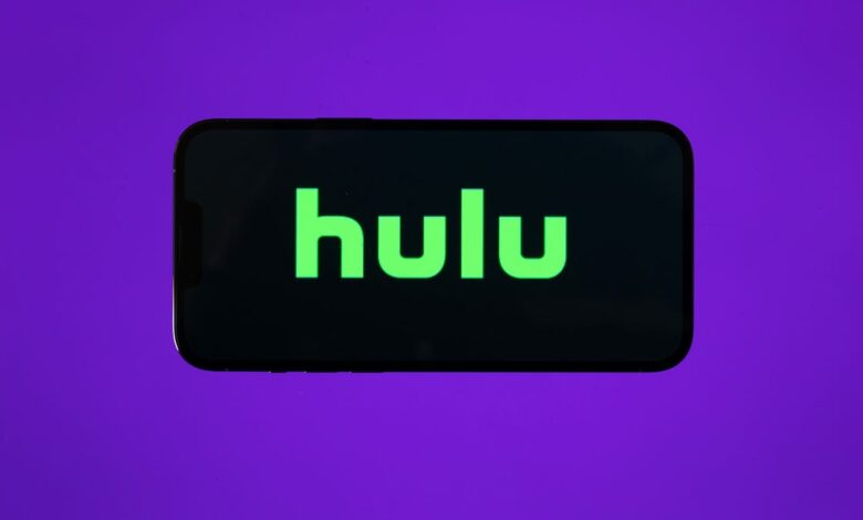 You’ll want to grab this  Hulu Black Friday deal before it dries up