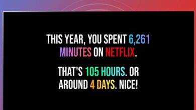 Your Netflix Wrapped 2024 recap is here, but don’t tell Netflix