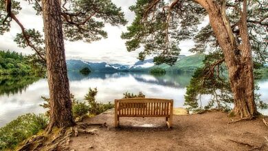 Is this the best view of the British bank? Enjoy the sublime Lake District spot that inspired Turner and Constable