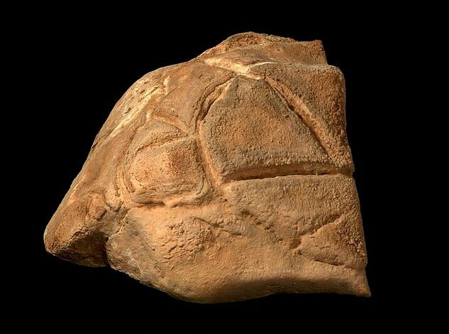 Mysterious turtle statue is discovered in the Holy Land cave after 35,000 years – and archaeologists think people may have WORSHIPED it