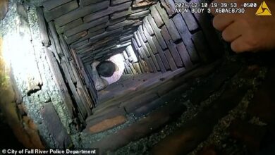 Moment’s fugitive’s ‘Santa antics’ go terribly wrong when he tries to hide in a chimney