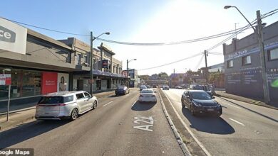 Man is stabbed and another suffers head injuries after wild brawl breaks out at Sydney pub