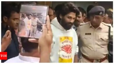 Actor Allu Arjun arrested over Pushpa 2 stampede incident: What we know so far | India News – Times of India