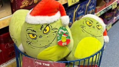 B&M sells Grinch Squishmallows and shoppers ‘need’ them as stocking stuffers