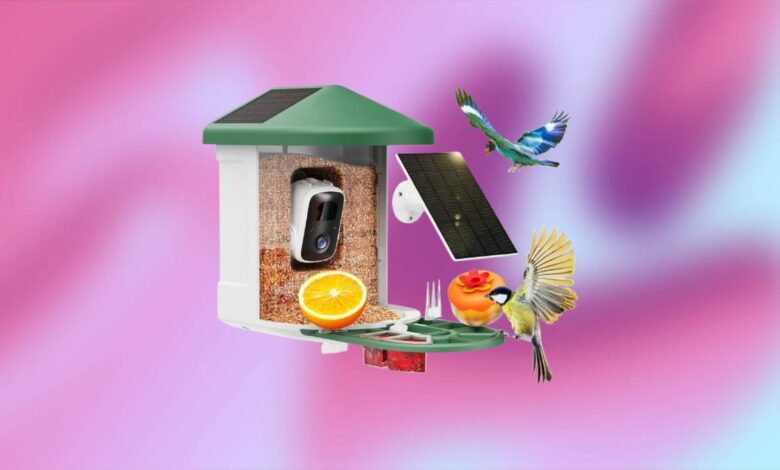 Become the ultimate birdwatcher with Harymor’s AI Camera Bird Feeder, now  off