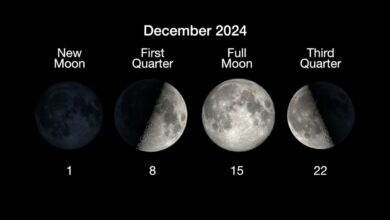 Cold Moon of 2024 rises in Taurus, accompanied by Jupiter and Bright Stars