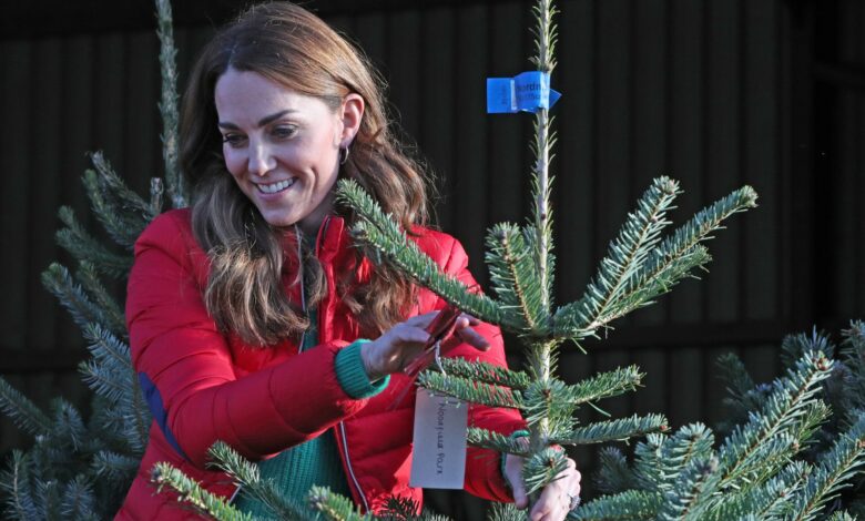 Expert reveals best and worst Christmas tree and crucial job of keeping them alive.