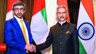 Forces to go to all patrol points in Depsang: EAM Jaishankar | India News – Times of India