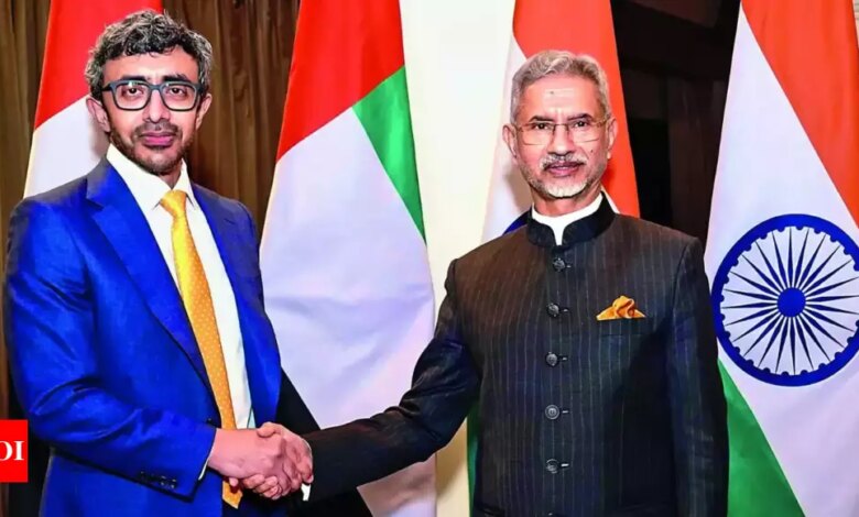 Forces to go to all patrol points in Depsang: EAM Jaishankar | India News – Times of India