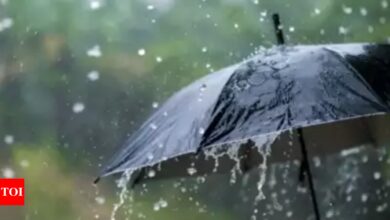 IMD issues red alert for four districts in Kerala; heavy rain expected on December 2 | India News – Times of India