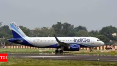 IndiGo Delhi-Jeddah flight diverted to Karachi; will later return to IGI Airport | India News – Times of India