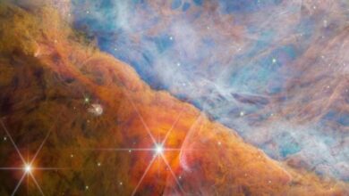 JWST discovers Jupiter-mass binary objects in the Orion Nebula, offering new clues