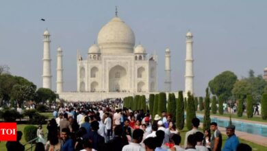 No damage to Taj Mahal, says government | India News – Times of India