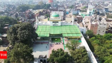 Sambhal Mosque: ASI seeks control and management of Shahi Jama Masjid, a Mughal-era structure near the court | India News – Times of India