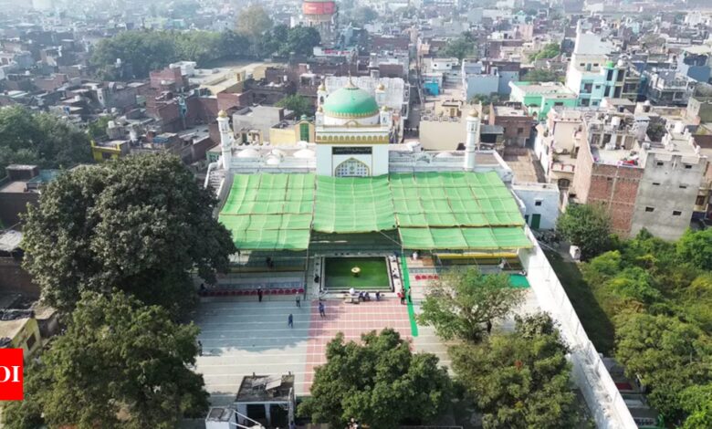 Sambhal Mosque: ASI seeks control and management of Shahi Jama Masjid, a Mughal-era structure near the court | India News – Times of India