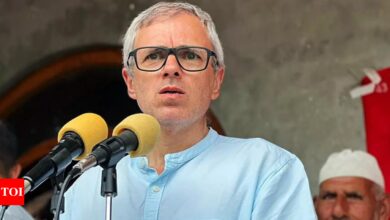 Two power centers are a recipe for disaster, says JK Chief Minister Omar Abdullah – Times of India