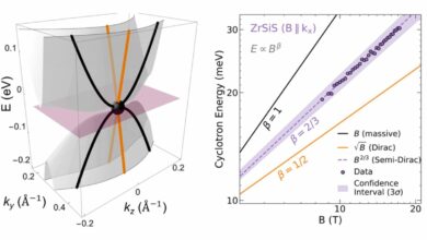 Unidirectional mass quasiparticles found in ZrSiS crystal