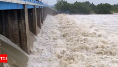 Watch: Veedur Dam overflows as Cyclone Fengal hits Tamil Nadu, 10 villages at risk of flooding – Times of India