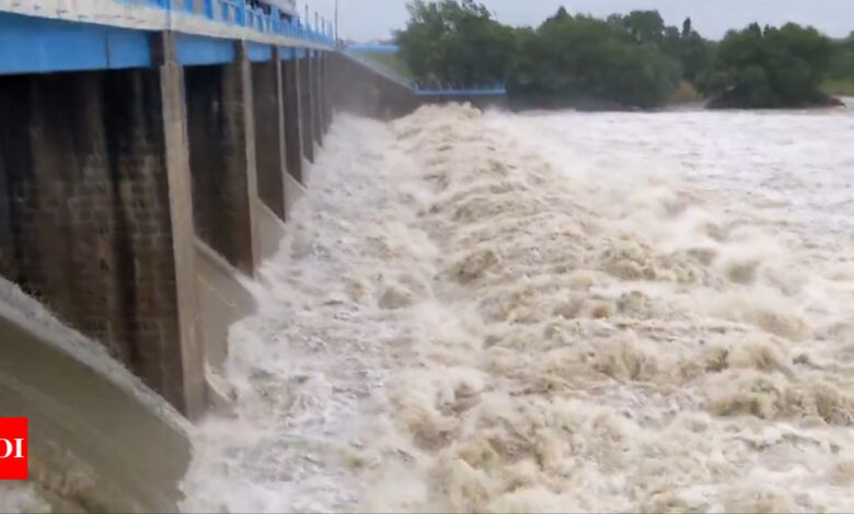 Watch: Veedur Dam overflows as Cyclone Fengal hits Tamil Nadu, 10 villages at risk of flooding – Times of India