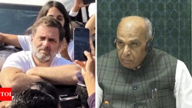 “What’s he doing outside?” Acting LS Speaker Questions Rahul Gandhi’s Sambhal Visit Attempt; opposition walks away | India News – Times of India